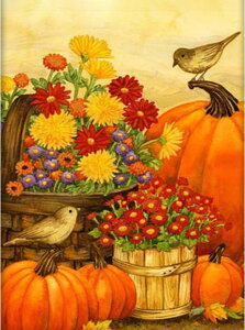 y10%OFFN[|zzz hJLbg 5D _ChA[g Lbg r[YhJ t _ChyCeBOCeA  nhCh NXXeb` _CAhA