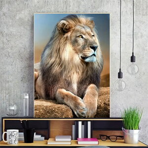 y10%OFFN[|zzz hJLbg ̘T 5D _ChA[g Lbg r[YhJ t _ChyCeBOCeA nhCh NXXeb` _CAhA[