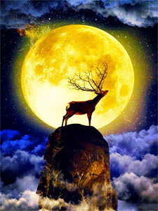 y10%OFFN[|zzz hJLbg 5D _ChA[g Lbg r[YhJ  S _ChyCeBOCeA  Ǐ nhCh NXXeb` _CA