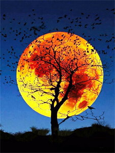 y10%OFFN[|zzz hJLbg 5D _ChA[g Lbg r[YhJ  S _ChyCeBOCeA  Ǐ nhCh NXXeb` _CA