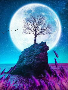 y10%OFFN[|zzz hJLbg 5D _ChA[g Lbg r[YhJ  S _ChyCeBOCeA  Ǐ nhCh NXXeb` _CA