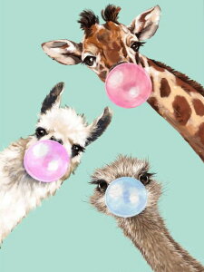 y10%OFFN[|zzz hJLbg 5D _ChA[g  L Lbg r[YhJ S _ChyCeBOCeA  nhCh NXXeb` _C