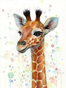 y10%OFFN[|zzz hJLbg 5D _ChA[g  L Lbg r[YhJ S _ChyCeBOCeA  nhCh NXXeb` _C