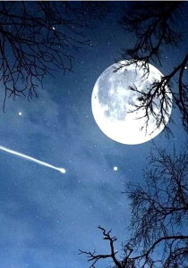 y10%OFFN[|zzz hJLbg 5D _ChA[g Lbg r[YhJ  S _ChyCeBOCeA  Ǐ nhCh NXXeb` _CA