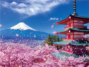 yN[|p10%OFFz xmR̍ hJLbg 5D_ChA[g Lbg r[Y hJ S _ChyCeBOCeA  nhCh NXXeb` _C