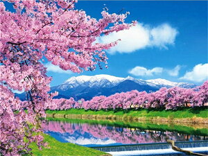 y10%OFFN[|zzz xmR̍ hJLbg 5D_ChA[g Lbg r[Y hJ S _ChyCeBOCeA  nhCh NXXeb` _C