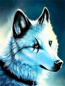  hJLbg 5D _ChA[g Lbg ̘T T r[YhJ t _ChyCeBOCeA nhCh NXXeb` _CAhA[g}Ĉ ǃA[