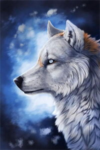  hJLbg 5D _ChA[g Lbg ̘T T r[YhJ t _ChyCeBOCeA nhCh NXXeb` _CAhA[g}Ĉ ǃA[