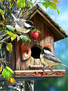  hJLbg   5D _ChA[g Lbg r[YhJ t _ChyCeBOCeA nhCh NXXeb` _CAhA[g}Ĉ ǃA[g 