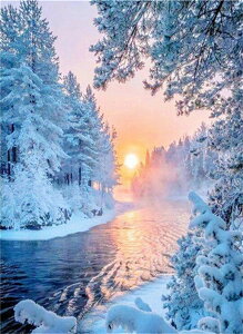  hJLbg 5D_ChA[g Lbg r[YhJ ~i S 5D_Ch yCeBOCeA  nhCh NXXeb` _CAhA[g} ǃA[g 