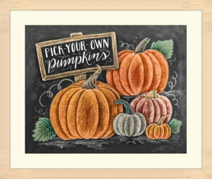  hJLbg 5D_ChA[g Lbg r[YhJ p S 5D_Ch yCeBOCeA  nhCh NXXeb` _CAhA[g} ǃA[