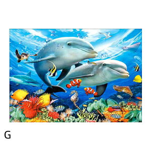 y10%OFFN[|zzz hJLbg 5D_ChA[g Lbg r[YhJ CJ C S _ChyCeBOCeA  nhCh NXXeb` _CA