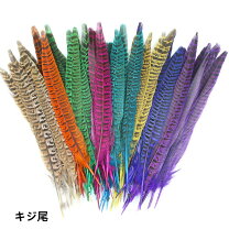 キジの尾羽根の通販