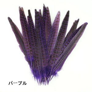  LW 10{ 18-25cm LxȉH𗘗p}{[ƃ{A DIY H H }{[ Xe[Wߑ H tFU[ }{[ V[ | i`f ANZT[