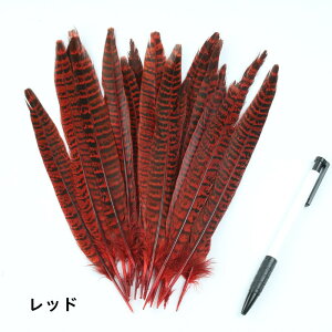 y10%OFFN[|zzz LW 10{ 18-25cm LxȉH𗘗p}{[ƃ{A DIY H H }{[ Xe[Wߑ H tFU[ }{[ V[ | i`f AN