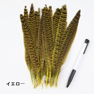 y10%OFFN[|zzz LW 10{ 18-25cm LxȉH𗘗p}{[ƃ{A DIY H H }{[ Xe[Wߑ H tFU[ }{[ V[ | i`f AN