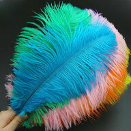 【4-14日！クーポン利用で15%OFF】オーストリッチ 10本30-35cm ダチョウ羽根を利用したマラボーとボア DI…