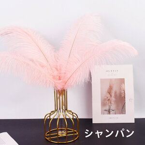  I[Xgb` 10{20-25cm _`EH𗘗p}{[ƃ{A DIY H H }{[ Xe[Wߑ H tFU[ }{[ V[ | i`f ANZT[