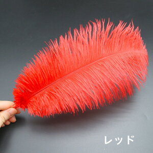 y19-27I15%OFFN[|zzzI[Xgb` 10{30-35cm _`EH𗘗p}{[ƃ{A DIY H H }{[ Xe[Wߑ H tFU[ }{[ V[ | i`