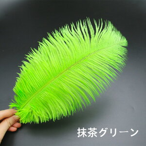 y10%OFFN[|zzz I[Xgb` 10{35-40cm _`EH𗘗p}{[ƃ{A DIY H H }{[ Xe[Wߑ H tFU[ }{[ V[ | i`