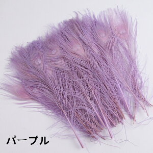 y12-20IN[|p16%OFFz p̉H ẺH 25-35cm 10{ E H𗘗p}{[ƃ{A DIY H H }{[ Xe[Wߑ H tFU[ }{[ V[ 