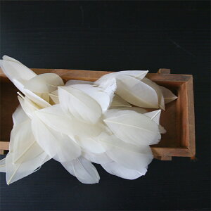 yN[|p10%OFFz I[Xgb`100{ 5-8cm K`ẺH 𗘗p}{[ƃ{A DIY H H }{[ Xe[Wߑ H tFU[ }{[ V[ | i`