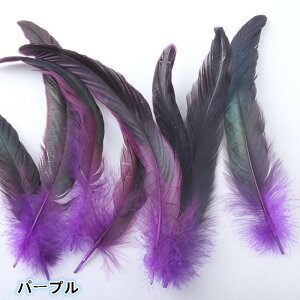  I[Xgb` VR H 100 p DIY WG[ HV[ tFU[V[   a p[eB[ o H|i wAANZT[ obO m[uhi