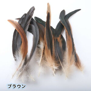  I[Xgb` VR H 100 p DIY WG[ HV[ tFU[V[   a p[eB[ o H|i wAANZT[ obO m[uhi