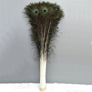 y14-21I15%OFFN[|zzz HAHA25 u[`&F ẺH O|[80-90cm p DIY WG[ HV[ tFU[V[   a p[eB[ 
