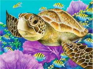 �y10%OFF�N�[�|���z�z���z�������� �h�J�L�b�g 5D �_�C�������h�A�[�g �r�[�Y�h�J ���� ���S�� �_�C�������h�y�C���e�B���O�C���e���A � �n���h���C�h �N���X�X�e�b�` �_�C�A�����h�A�[�g