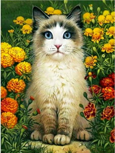 y28-30I15%OFFN[|zzz hJLbg 5D _ChA[g r[YhJ L S _ChyCeBOCeA  nhCh NXXeb` _CA