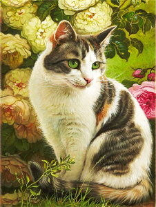 y28-30I15%OFFN[|zzz hJLbg 5D _ChA[g r[YhJ L S _ChyCeBOCeA  nhCh NXXeb` _CA