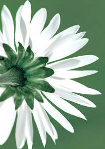 yN[|p10%OFFz hJLbg 5D _ChA[g r[YhJ A S _ChyCeBOCeA  nhCh NXXeb` _CAhA[g