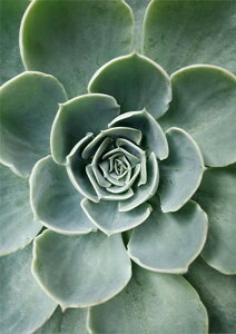 yN[|p10%OFFz hJLbg 5D _ChA[g r[YhJ A S _ChyCeBOCeA  nhCh NXXeb` _CAhA[g