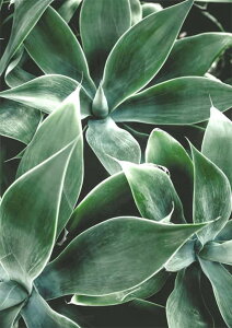 yN[|p10%OFFz hJLbg 5D _ChA[g r[YhJ A S _ChyCeBOCeA  nhCh NXXeb` _CAhA[g