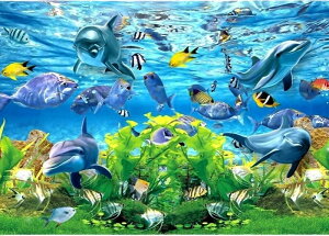 yN[|p10%OFFz hJLbg 5D _ChA[g r[YhJ C̐E CJ S _ChyCeBOCeA  nhCh NXXeb` _C