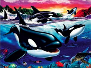 yN[|p10%OFFz hJLbg 5D _ChA[g r[YhJ C̐E CJ S _ChyCeBOCeA  nhCh NXXeb` _C