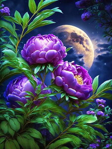  hJLbg 5D _ChA[g r[YhJ i  S _ChyCeBOCeA  nhCh NXXeb` _CAhA[g ǃA[g | _C