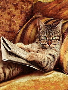 yN[|p10%OFFz hJLbg 5D _ChA[g r[YhJ  L S _ChyCeBOCeA  nhCh NXXeb` _CAhA