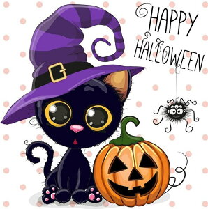 y10%OFFN[|zzz hJLbg 5D _ChA[g  Lbg r[YhJ L S _ChyCeBOCeA  nhCh NXXeb` _CA