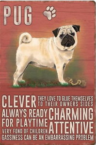 y9-18IN[|p15%OFFz r[YhJ hJLbg 5D _ChA[g   Lbg S _ChyCeBOCeA  nhCh NXXeb` _