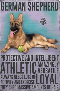 y19-27I15%OFFN[|zzz r[YhJ hJLbg 5D _ChA[g   Lbg S _ChyCeBOCeA  nhCh NXXeb` 