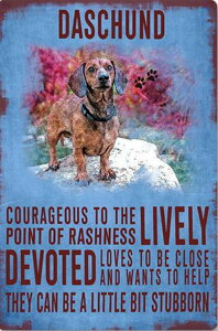 y6-12I15%OFFN[|zzz r[YhJ hJLbg 5D _ChA[g   Lbg S _ChyCeBOCeA  nhCh NXXeb` _