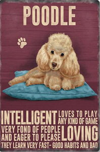 y10%OFFN[|zzz r[YhJ hJLbg 5D _ChA[g   Lbg S _ChyCeBOCeA  nhCh NXXeb` _CA