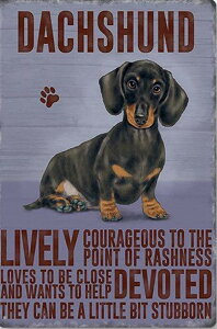 y22-30I15%OFFN[|zzz r[YhJ hJLbg 5D _ChA[g   Lbg S _ChyCeBOCeA  nhCh NXXeb` 