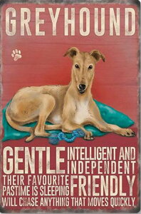 y22-30I15%OFFN[|zzz r[YhJ hJLbg 5D _ChA[g   Lbg S _ChyCeBOCeA  nhCh NXXeb` 