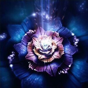 y1-8I15%OFFN[|zzz hJLbg 5D _ChA[g Lbg r[YhJ  S _ChyCeBOCeA  nhCh NXXeb` _CA