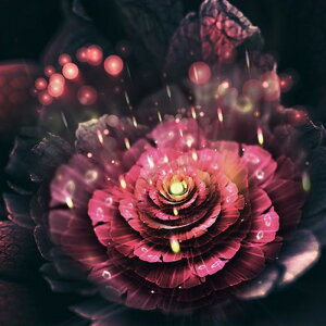 y10%OFFN[|zzz hJLbg 5D _ChA[g Lbg r[YhJ  S _ChyCeBOCeA  nhCh NXXeb` _CAh