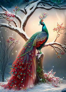 y10%OFFN[|zzz hJLbg 5D _ChA[g Lbg r[YhJ NWN S _ChyCeBOCeA  nhCh NXXeb` _