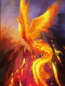 y10%OFFN[|zzz hJLbg  S _ChA[g Lbg r[YhJ _ChyCeBOCeA  nhCh NXXeb` _CAh